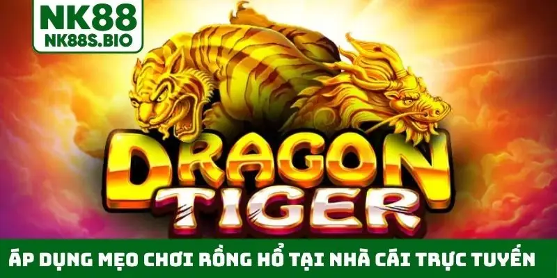 Áp dụng mẹo chơi Rồng Hổ tại nhà cái trực tuyến