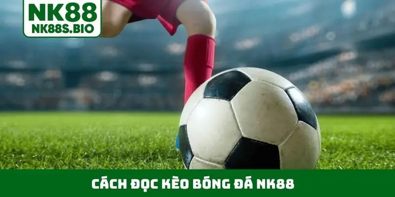 cách đọc kèo bóng đá NK88