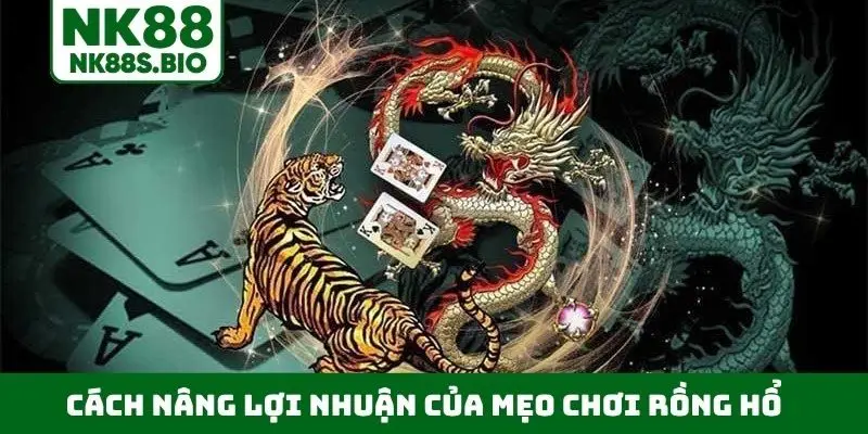 Cách nâng lợi nhuận của mẹo chơi Rồng Hổ