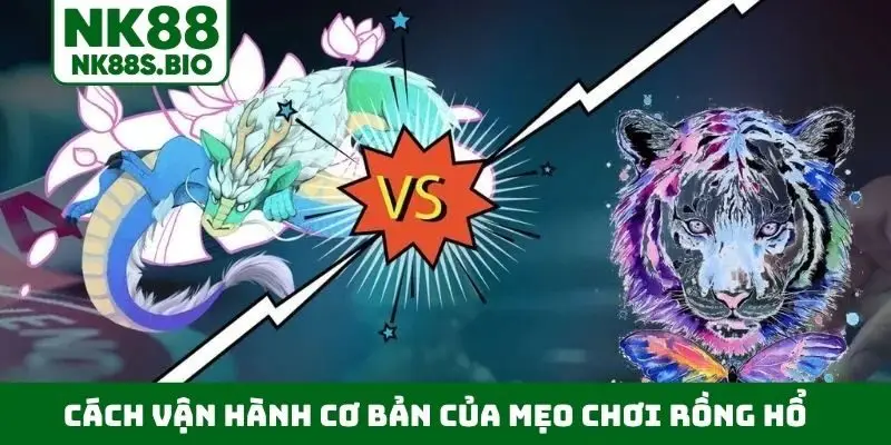 Cách vận hành cơ bản của mẹo chơi Rồng Hổ
