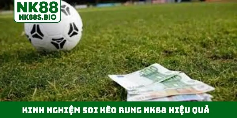 Kinh nghiệm soi kèo rung NK88 hiệu quả