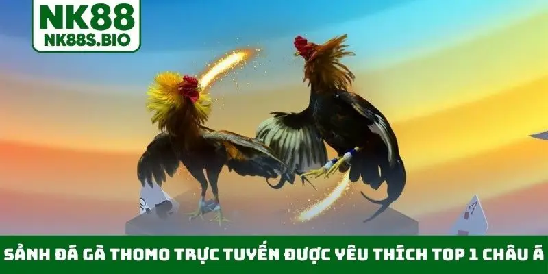 Sảnh đá gà Thomo trực tuyến được yêu thích top 1 châu Á